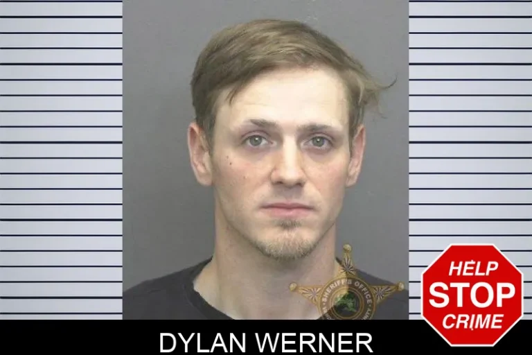 Dylan Werner