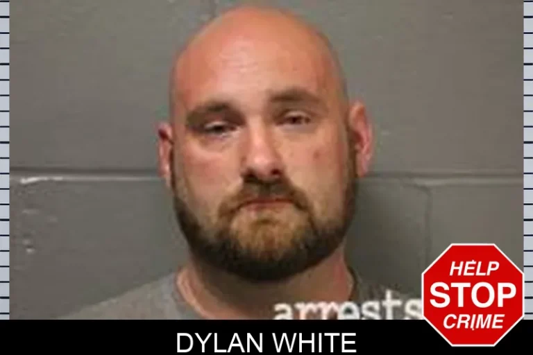Dylan White