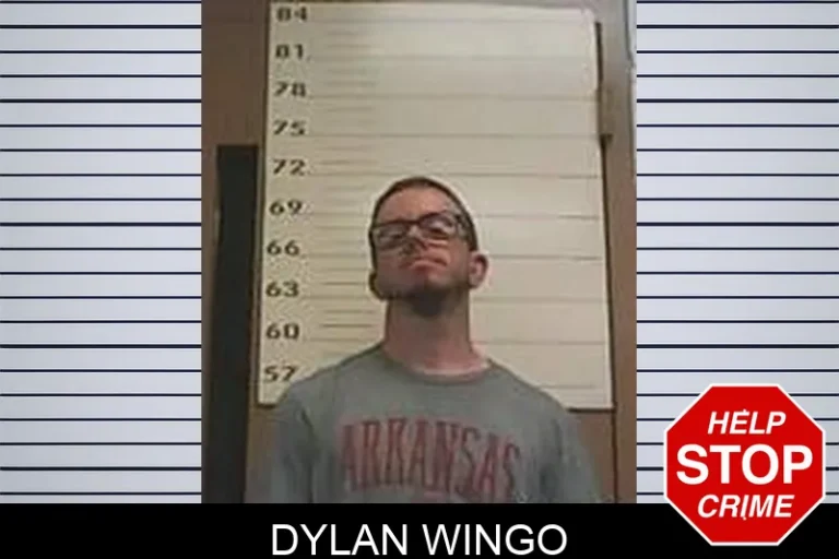 Dylan Wingo