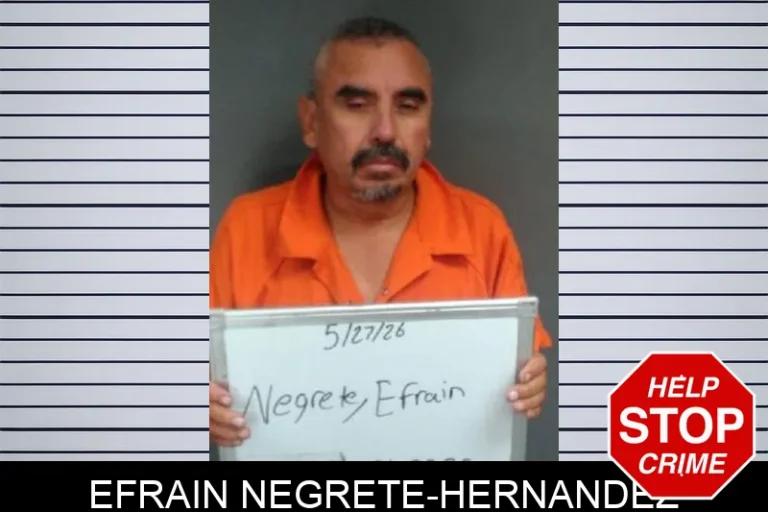 Efrain Negrete-Hernandez