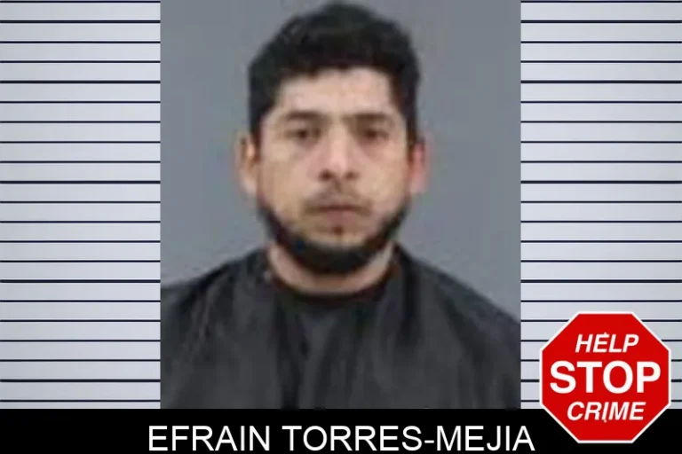 Efrain Torres-Mejia