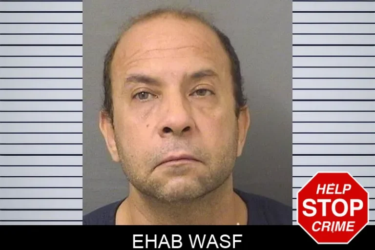 Ehab Wasf