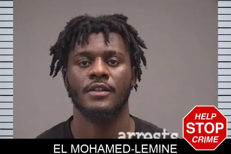 El Mohamed-Lemine