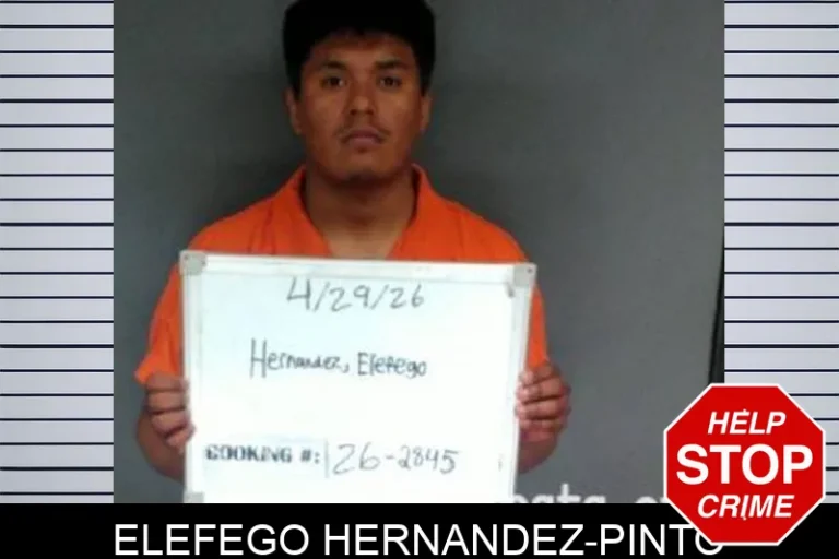 Elefego Hernandez-Pinto