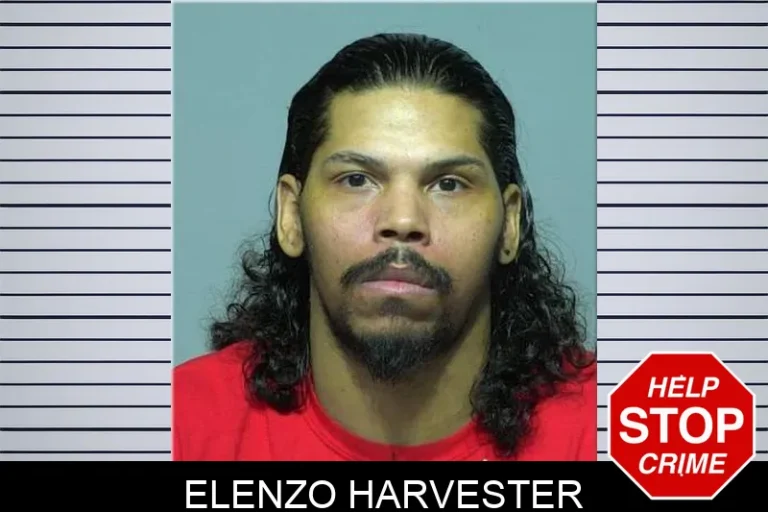 Elenzo Harvester