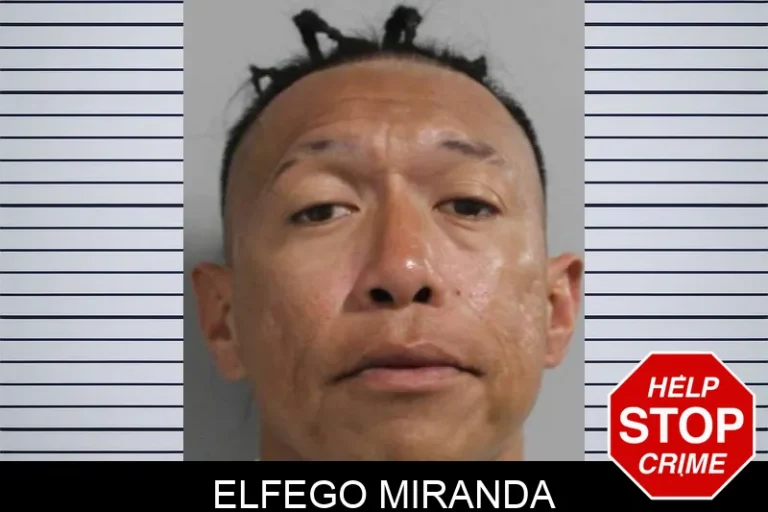 Elfego Miranda