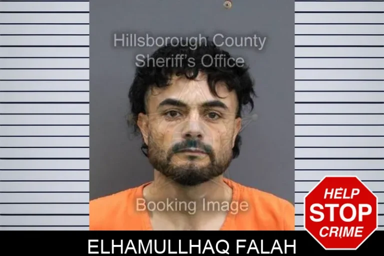 ElhamuLlhaq Falah