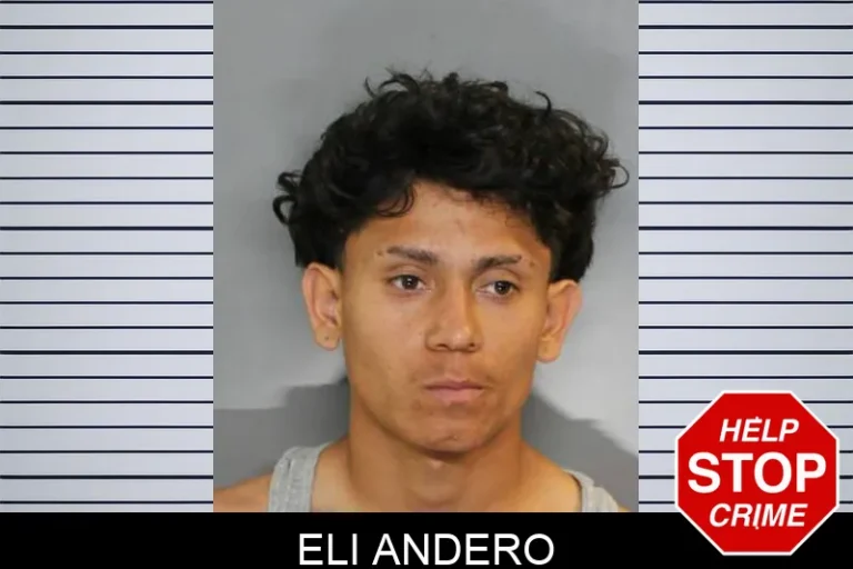 Eli Andero