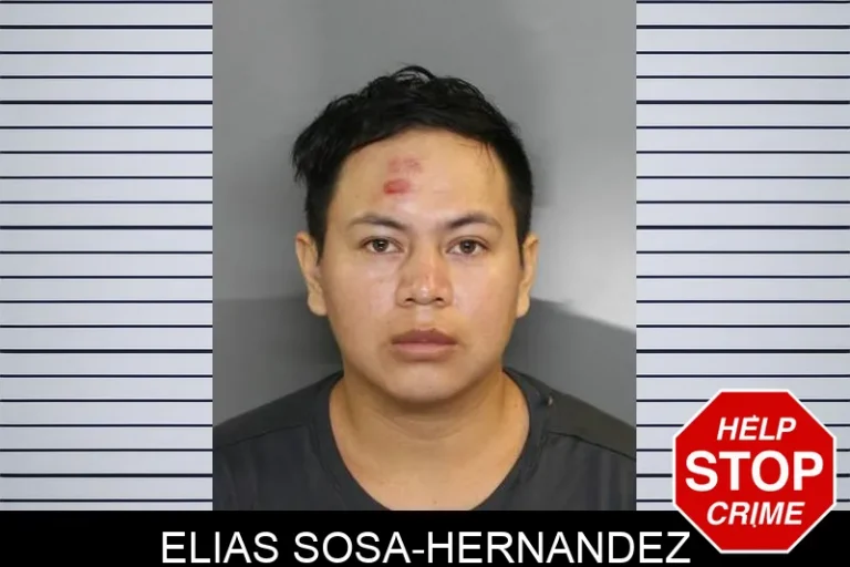 Elias Sosa-Hernandez