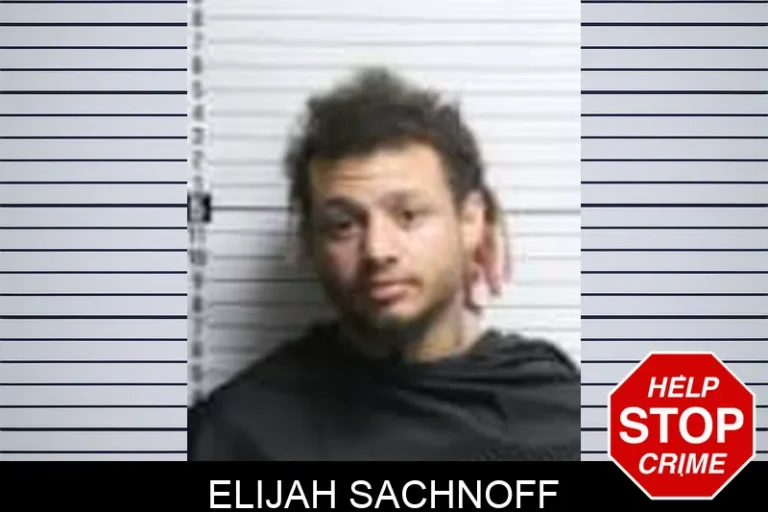 Elijah Sachnoff