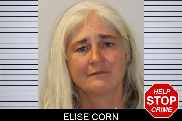 Elise Corn