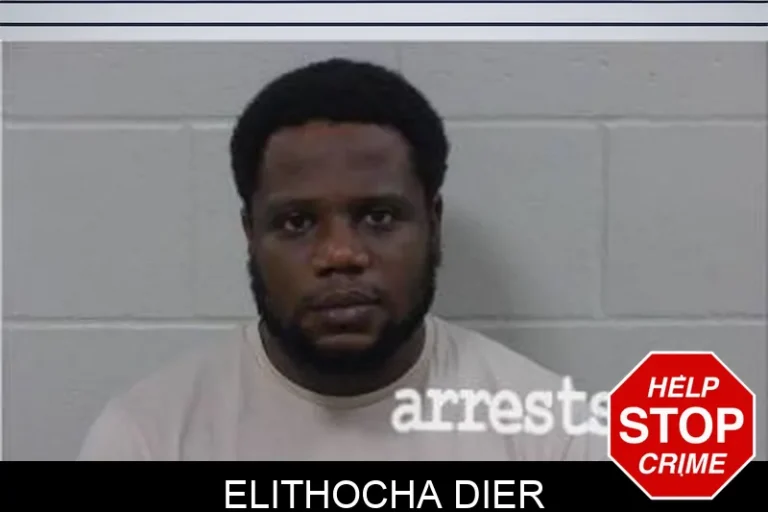 Elithocha Dier
