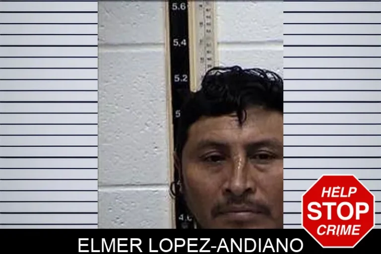 Elmer Lopez-Andiano