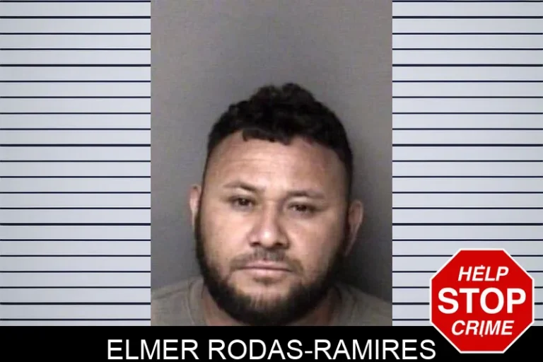 Elmer Rodas-Ramires
