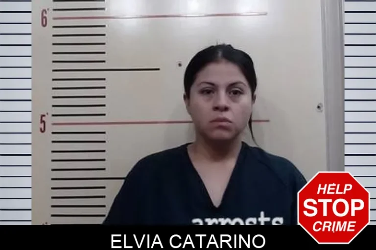 Elvia Catarino