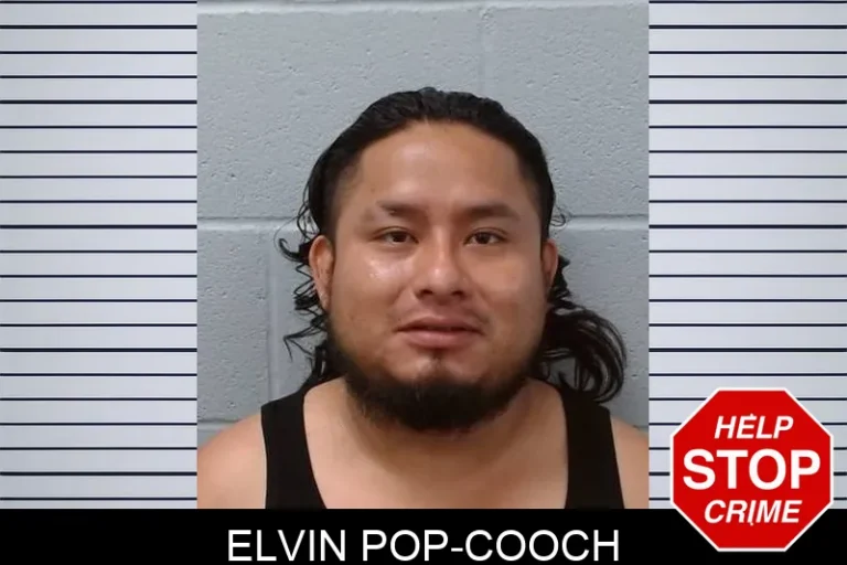 Elvin Pop-Cooch