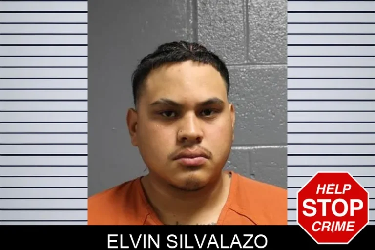 Elvin SilvaLazo