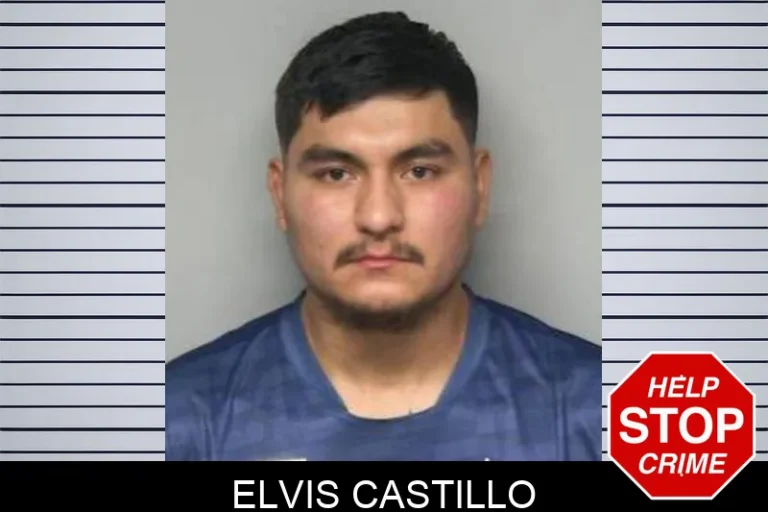 Elvis Castillo