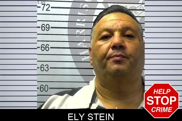 Ely Stein