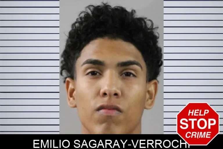 Emilio Sagaray-Verrochi
