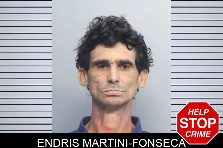 Endris Martini-Fonseca