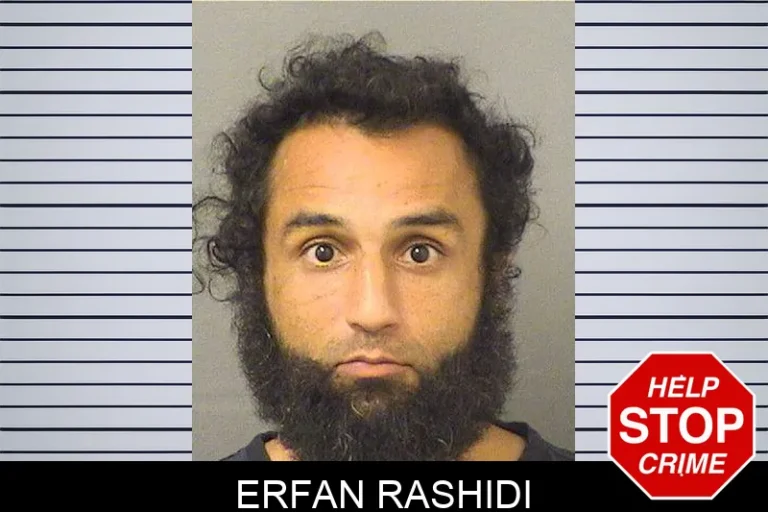 Erfan Rashidi