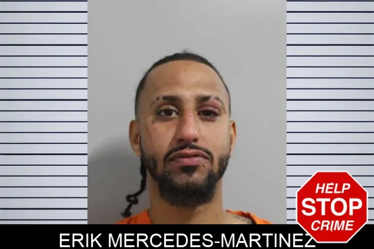 Erik Mercedes-Martinez