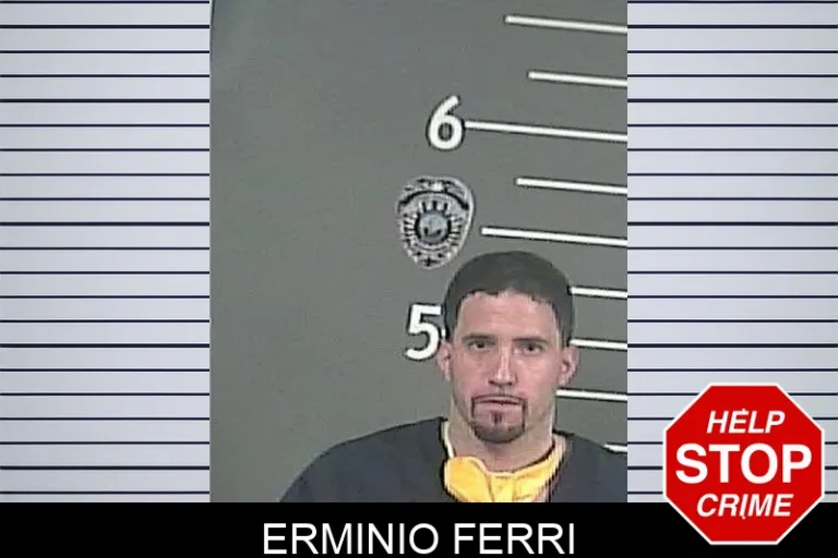 Erminio Ferri
