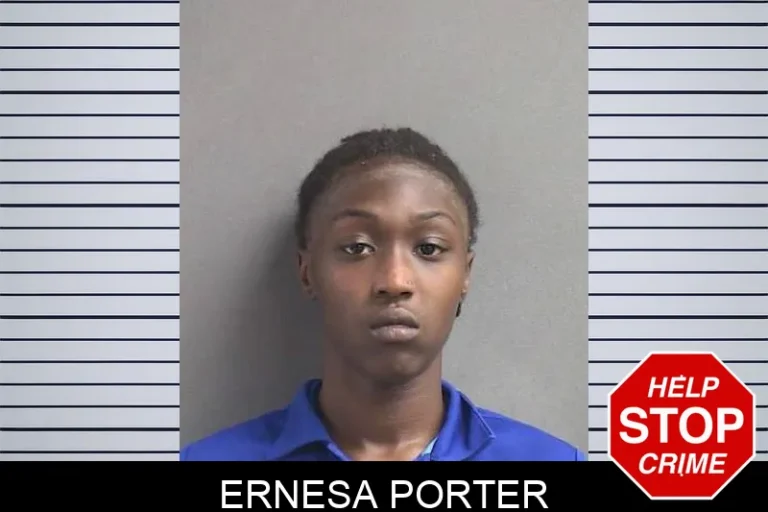 Ernesa Porter