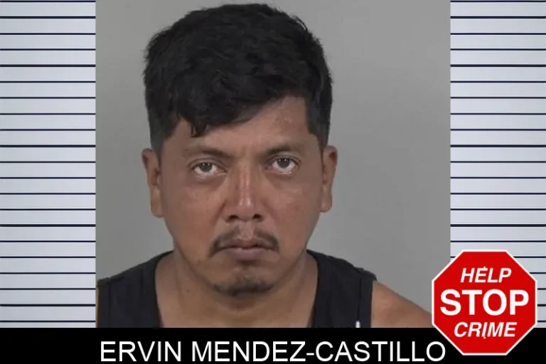Ervin Mendez-Castillo
