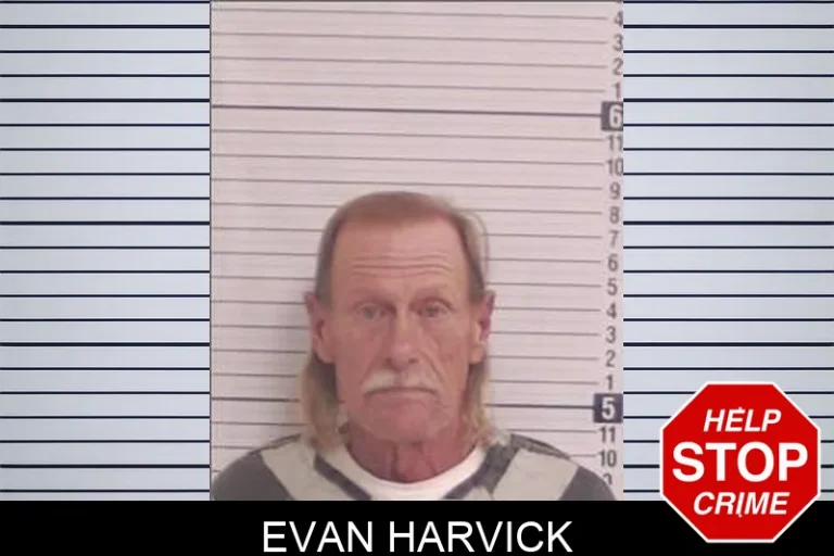 Evan Harvick