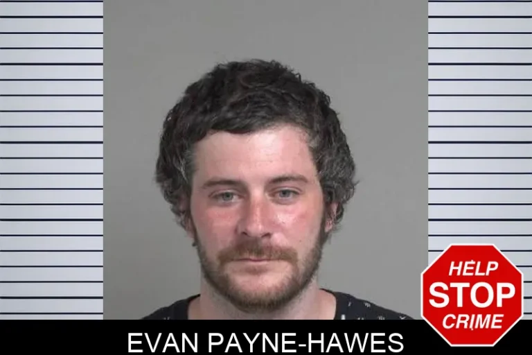 Evan Payne-Hawes