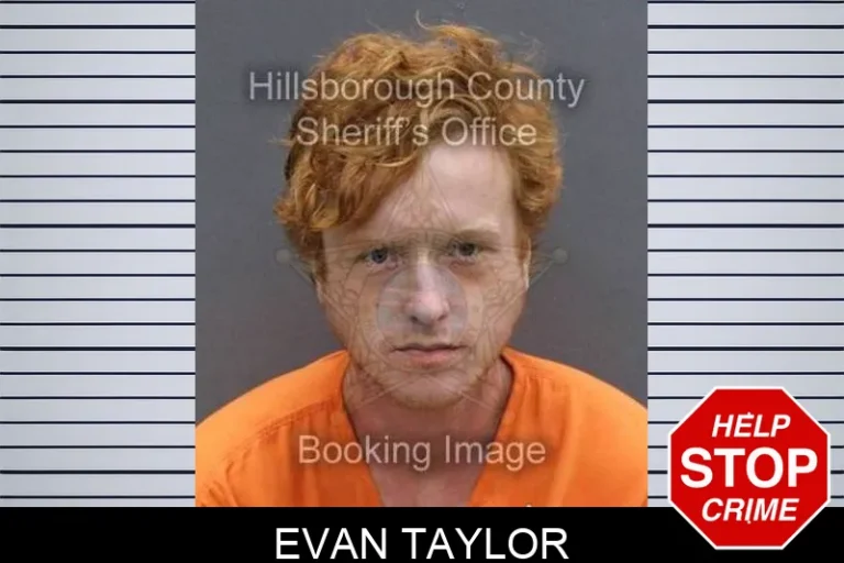 Evan Taylor