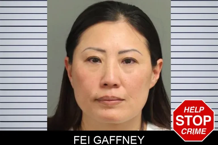 Fei Gaffney