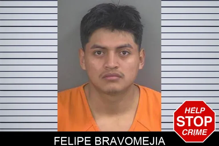 Felipe Bravomejia