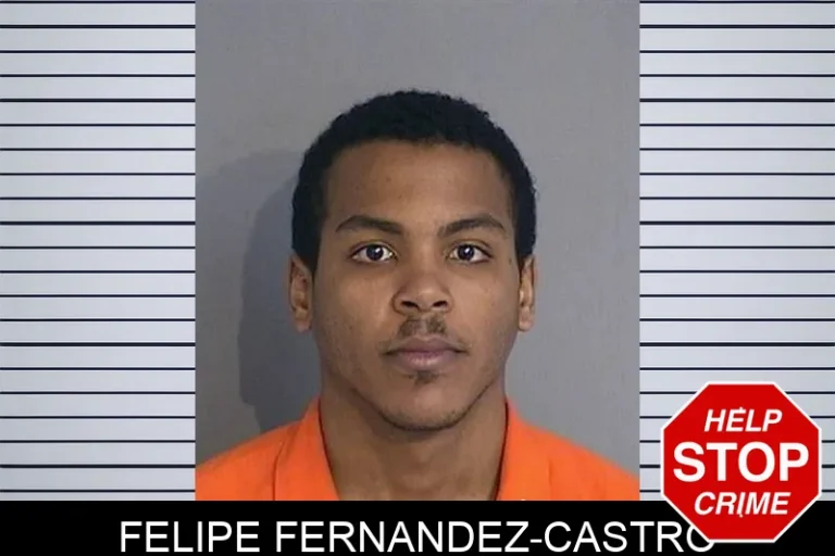Felipe Fernandez-Castro