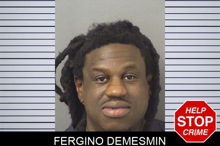 Fergino Demesmin