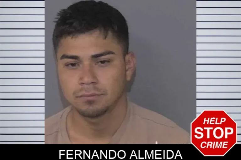 Fernando Almeida