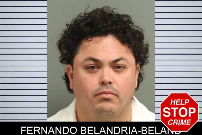 Fernando Belandria-Beland