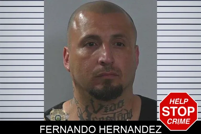 Fernando Hernandez