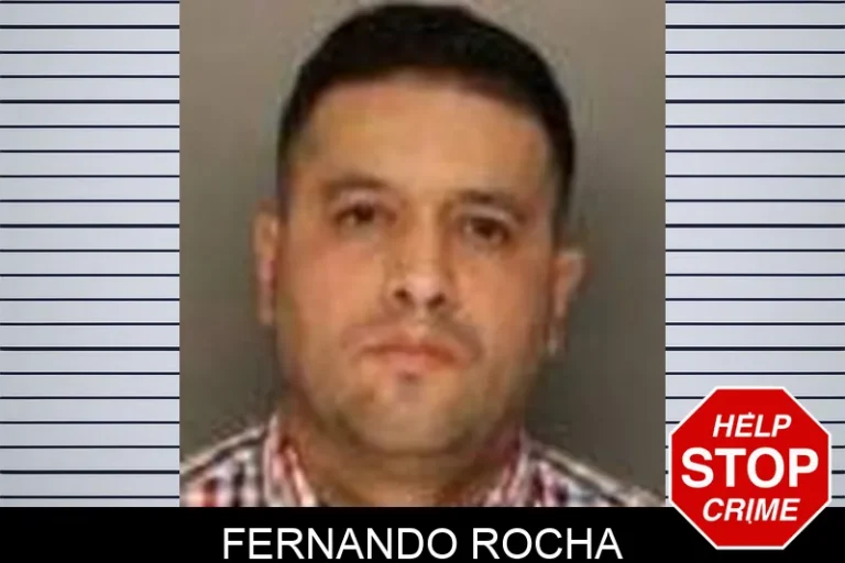 Fernando Rocha