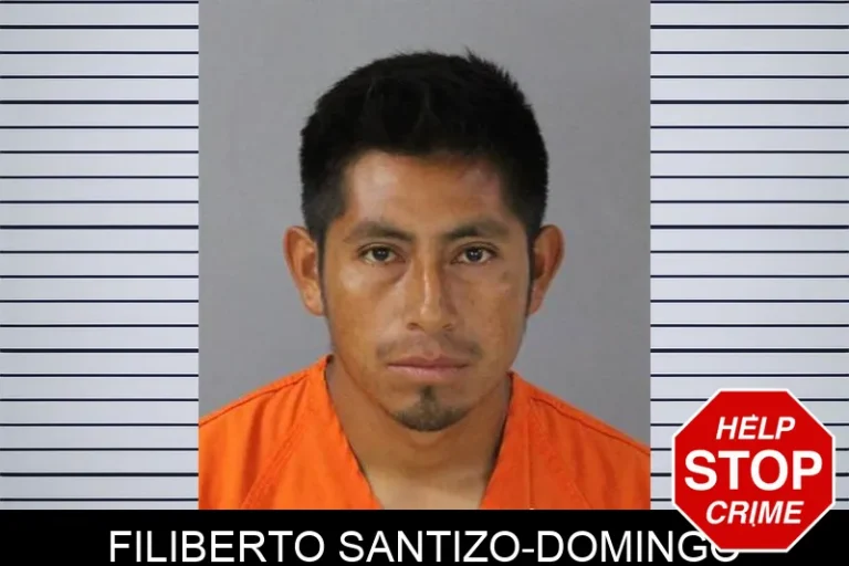 Filiberto Santizo-Domingo