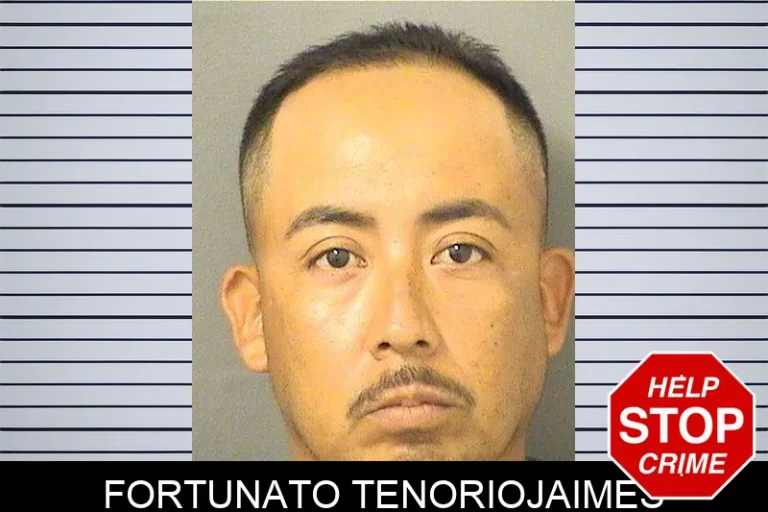 Fortunato Tenoriojaimes