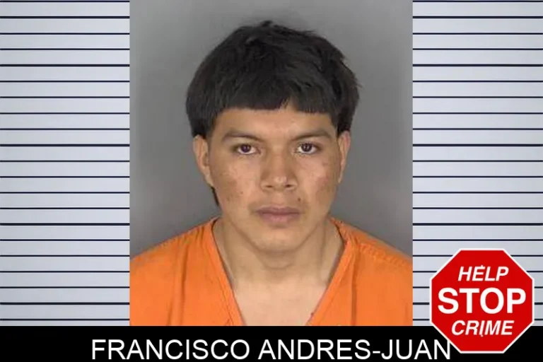 Francisco Andres-Juan
