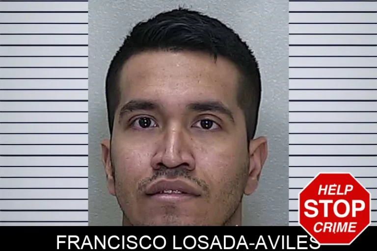 Francisco Losada-Aviles