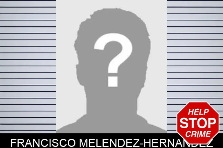 Francisco Melendez-Hernandez