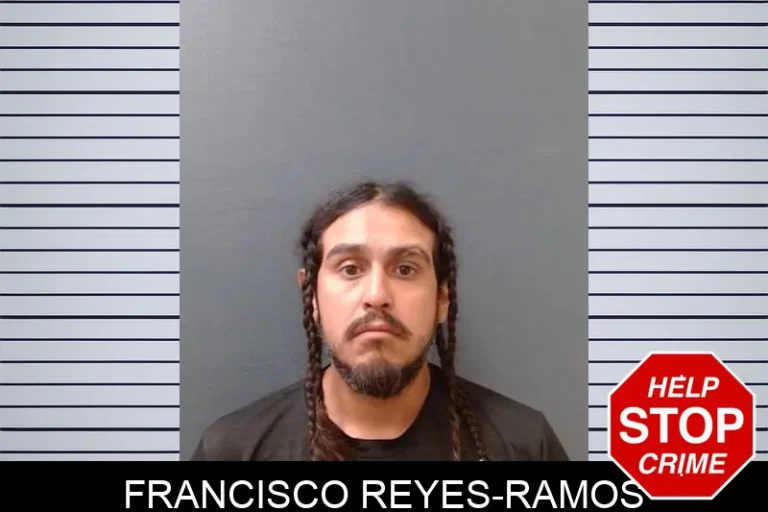 Francisco Reyes-Ramos