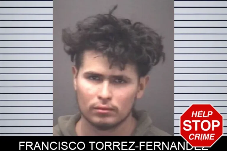 Francisco Torrez-Fernandez