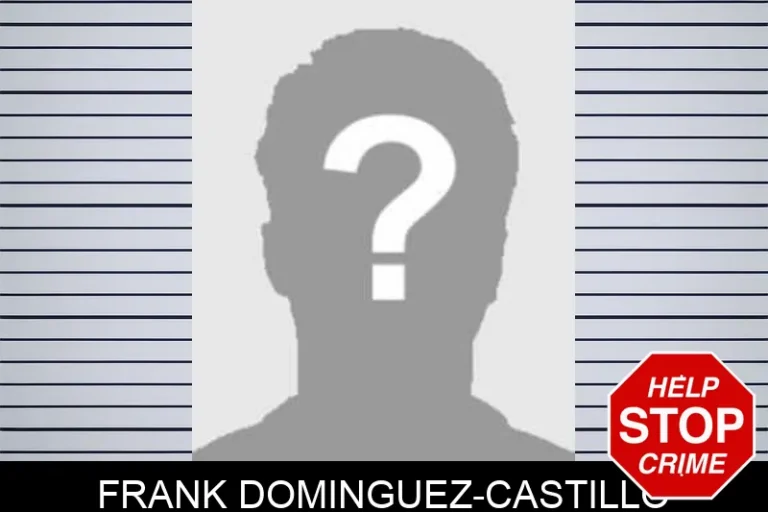 Frank Dominguez-Castillo