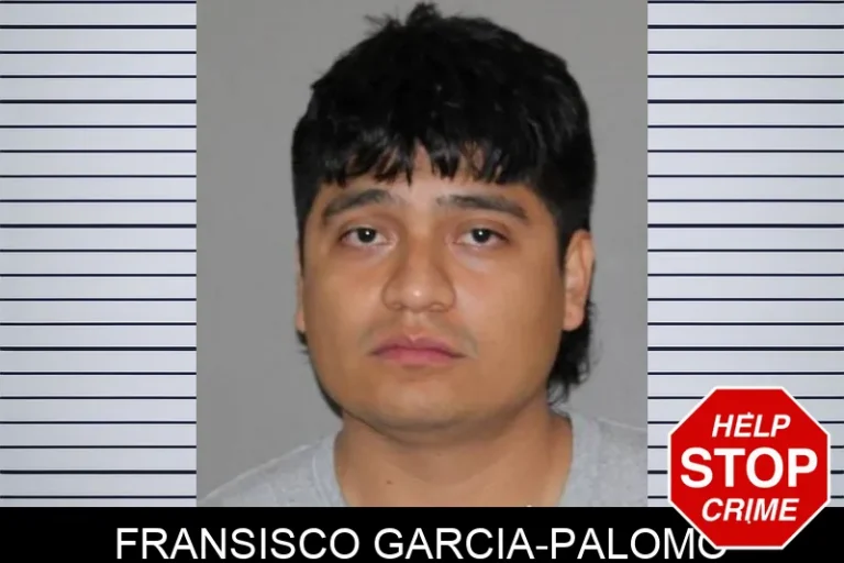 Fransisco Garcia-Palomo